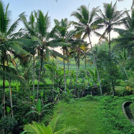 Puri Sebali Resort Ubud Eksteriør bilde